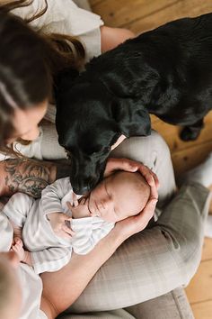 dog with newborn baby at home Newborn And Dog Pictures, Newborn With Dog Pictures, Dog Newborn Photography, Newborn And Dog Photos, Dog Newborn Pictures, At Home Newborn Pictures With Dog, Newborn Home Photoshoot With Dog, Newborn Lifestyle Photography At Home With Dog