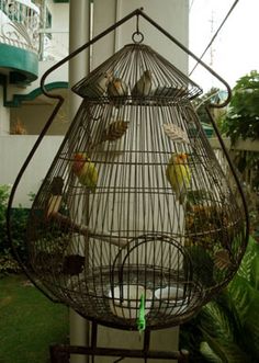 a bird cage hanging from the side of a building