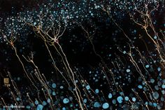 blue bubbles are floating in the air on a black background with gold foiled branches