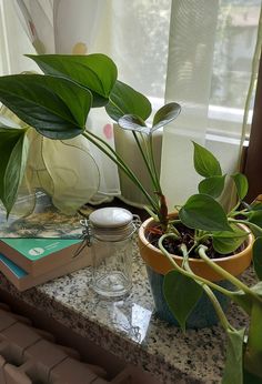 two potted plants sitting on top of a counter next to a window sill