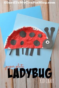 a paper plate ladybug craft with the title overlay that reads, paper plate ladybug kid craft