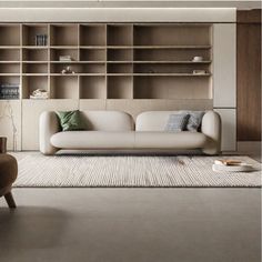 a living room filled with furniture and bookshelves