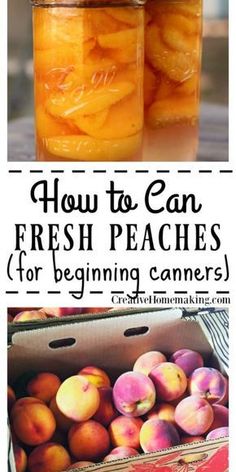 how to can fresh peaches for beginners