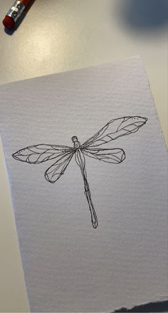 a drawing of a dragonfly sitting on top of a piece of paper