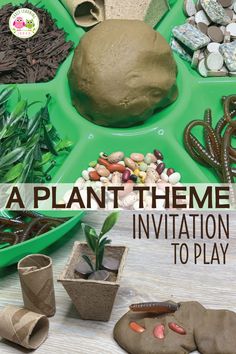 a green tray with rocks and plants in it