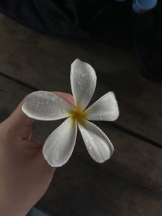 a white flower with yellow center being held by someone's hand on a wooden table