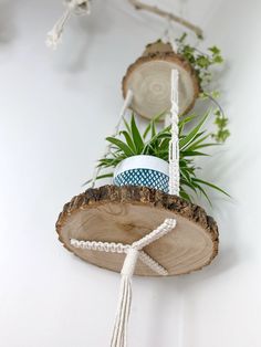 two wooden slices with rope hanging from them and some plants in the middle one has a potted plant on it