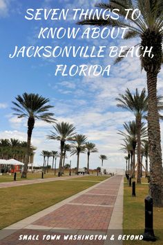 palm trees and walkway with the words seven things to know about jacksonville beach, florida