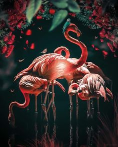 three pink flamingos are standing in the grass with flowers around them and one bird is sitting on its back