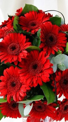 a vase filled with red flowers on top of a table