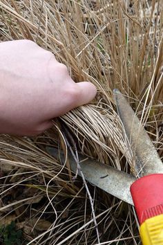 someone is cutting through some grass with a pair of scissors