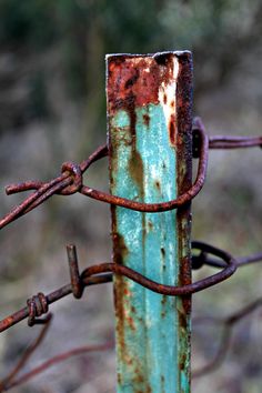 an old rusted metal fence post and chain link