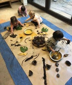 three children are sitting on the floor playing with some sort of plant parts and plants