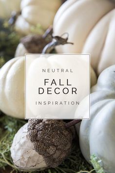 several white pumpkins and moss with the words neutral fall decor inspiration on it's side