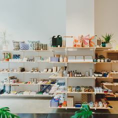 a store filled with lots of different types of items on shelves next to potted plants