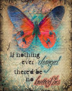 a butterfly with the words if nothing ever changed, there's no butterflies on it