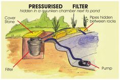 an image of a water source diagram with words describing the different types of water sources