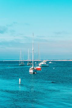 Best Things To Do In Monterey Monterey Beach, Old Fisherman, Gorgeous Places, Places In California, Visit California, Best Sunset