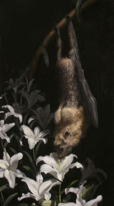 a bat hanging upside down on a branch with white flowers in the foreground and dark background