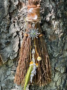 a bunch of plants hanging from a tree