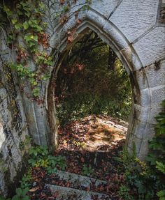 an old stone arch with ivy growing on it