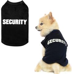 a small dog wearing a security shirt and sitting next to a t - shirt with the word security printed on it