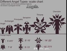 the different types of angels are shown in this graphic above it is an info sheet