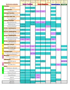 an image of a timetable for the upcoming events