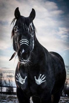 a black horse with white painted hands on it's face standing in the snow