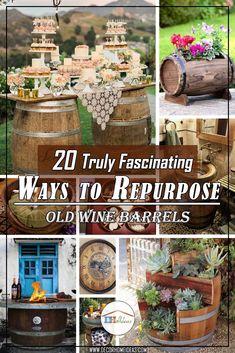 wine barrels with flowers and other items in them are featured on the cover of this article