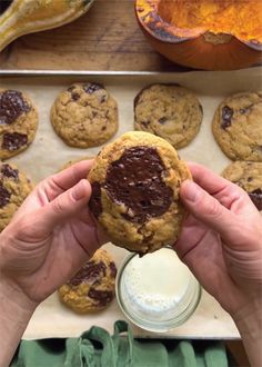 chocolate chip cookies are being held up in front of a tray with milk and pumpkins