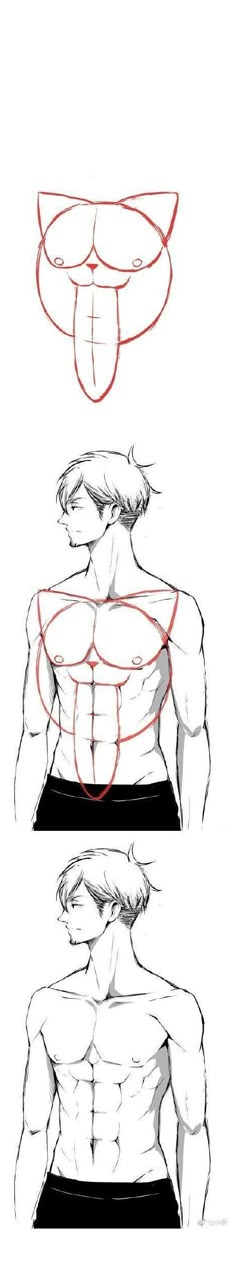 three different positions to draw the torso and chest in this drawing lesson, you can see how