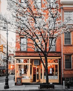 a tree with white flowers in front of a store on a city street next to a lamp post