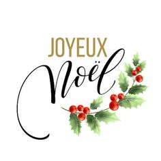 joyeux noel christmas greeting card with holly and berries on white background royalty image stock illustration