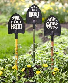 three garden stakers with funny sayings on them in the middle of some flowers