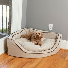 a dog laying on top of a bed in a room