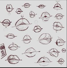 a bunch of different types of lips drawn in pencil on paper with the caption's name