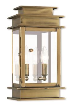 The Princeton collection is a fresh interpretation on the classic English pocket lantern. Hand crafted solid brass, our Princeton fixtures are built for lasting beauty. This outdoor wall light features an antique brass finish and clear glass. This old world charm is built to last. Livex Lighting Princeton 2 -Light 14.0-Inches H Antique Brass Hardwired Outdoor Wall Light Stainless Steel | 2014-01 Bay House Decor, Front Door Lights, Exterior Christmas Lights, House Facelift, Entry Exterior, Porch Dining, Stone Exterior Houses, Carriage House Garage, Wall Mount Lantern