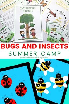 bugs and insects summer camp for kids to learn how to use the insect life cycle