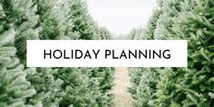 a christmas tree farm with the words holiday planning