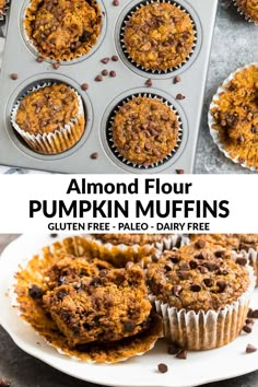 pumpkin muffins with chocolate chips on top and the title above reads, almond flour pumpkin muffins