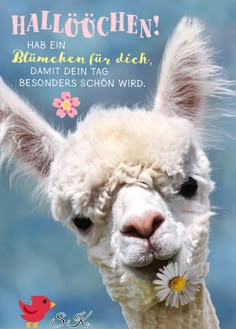 an alpaca with a flower in its mouth and the words hello written on it