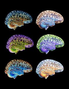 four different colored brain models are shown in this image