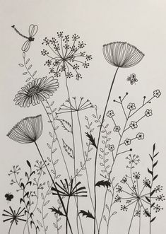 black and white drawing of wildflowers with dragonflies