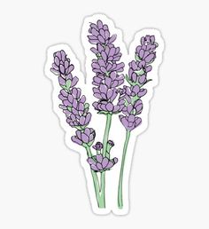 lavender flowers sticker on a white background