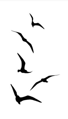 three birds flying in the sky with one bird above them