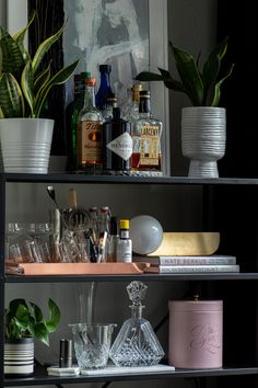 a shelf filled with bottles and glasses next to a potted plant on top of a table