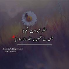 an arabic quote with a flower in the foreground and grass in the back ground