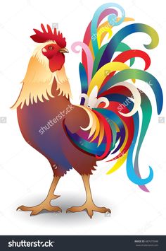 colorful rooster on white background with swirls stock photo and royalty free image at getdraed com