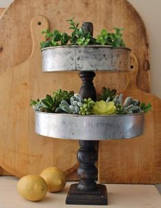 three tiered metal tray with succulents and plants in it next to two lemons